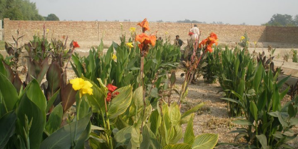 1st Wetland in Pakistan