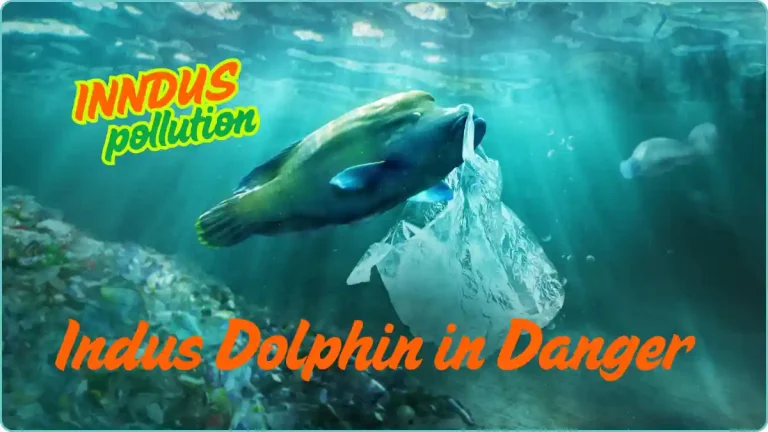 Indus river pollution