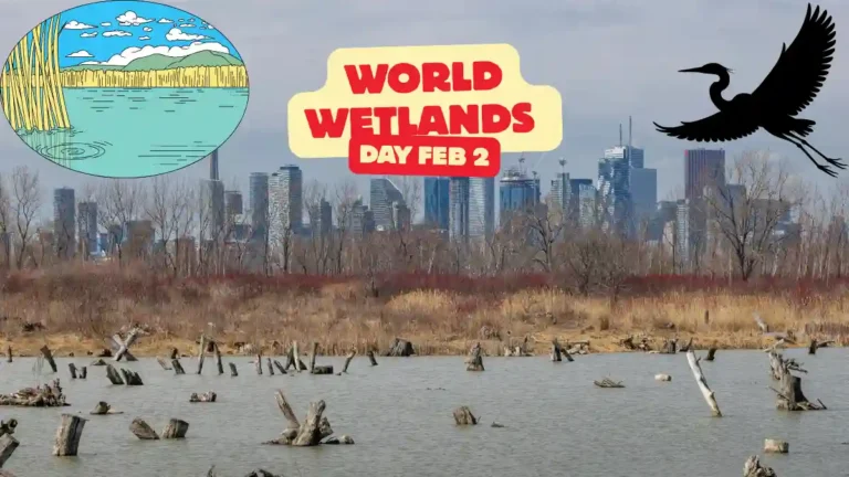 World wetlands day