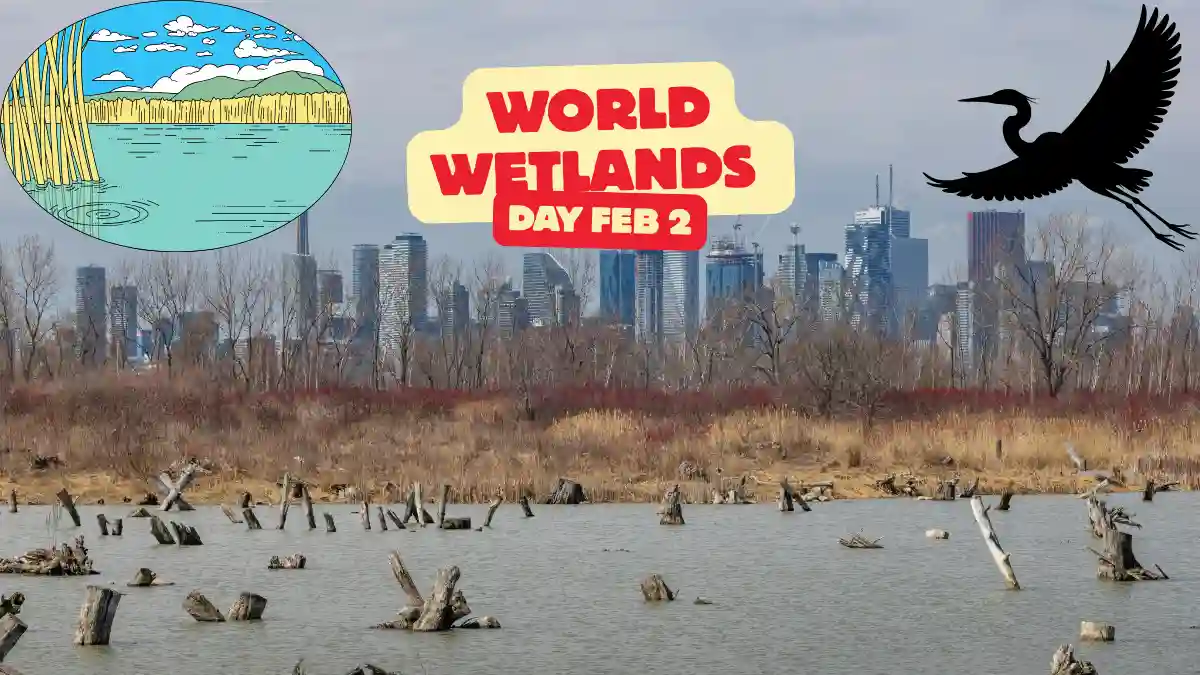 World wetlands day